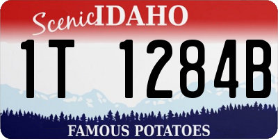 ID license plate 1T1284B