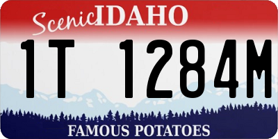 ID license plate 1T1284M