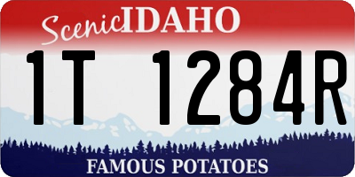 ID license plate 1T1284R