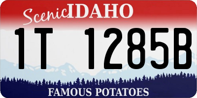 ID license plate 1T1285B