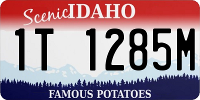 ID license plate 1T1285M