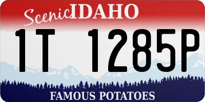 ID license plate 1T1285P