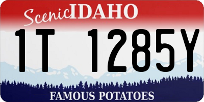 ID license plate 1T1285Y