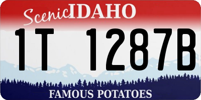 ID license plate 1T1287B
