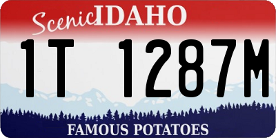 ID license plate 1T1287M