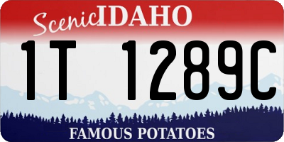 ID license plate 1T1289C