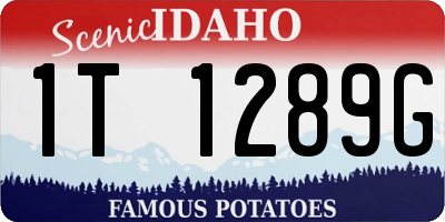 ID license plate 1T1289G