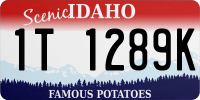 ID license plate 1T1289K