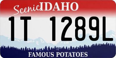ID license plate 1T1289L