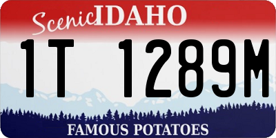 ID license plate 1T1289M