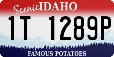 ID license plate 1T1289P