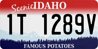 ID license plate 1T1289V