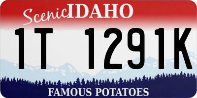 ID license plate 1T1291K
