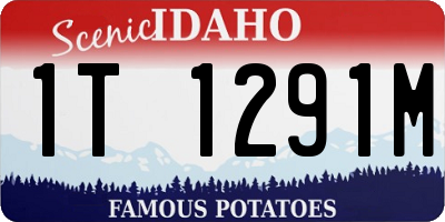 ID license plate 1T1291M