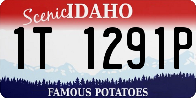 ID license plate 1T1291P