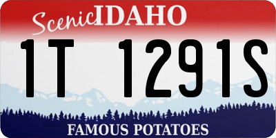 ID license plate 1T1291S