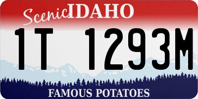 ID license plate 1T1293M