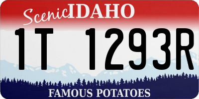 ID license plate 1T1293R