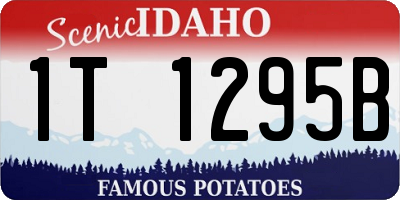 ID license plate 1T1295B