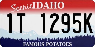 ID license plate 1T1295K