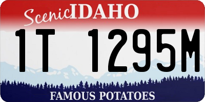 ID license plate 1T1295M