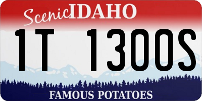 ID license plate 1T1300S