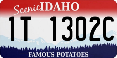 ID license plate 1T1302C