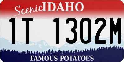 ID license plate 1T1302M