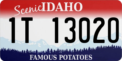 ID license plate 1T1302O