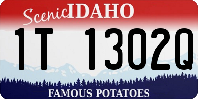 ID license plate 1T1302Q