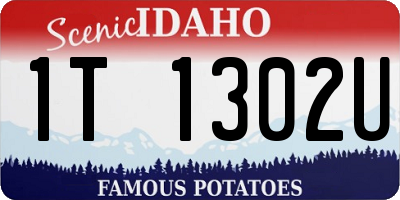 ID license plate 1T1302U