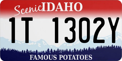ID license plate 1T1302Y