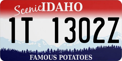 ID license plate 1T1302Z
