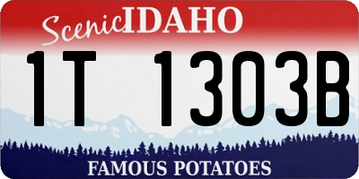 ID license plate 1T1303B