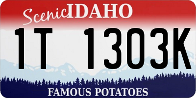 ID license plate 1T1303K
