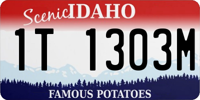 ID license plate 1T1303M