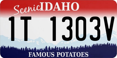 ID license plate 1T1303V
