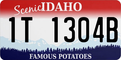 ID license plate 1T1304B