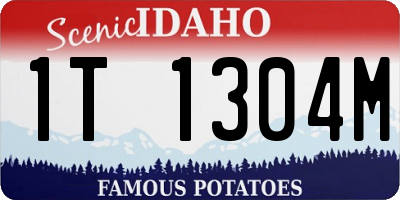 ID license plate 1T1304M
