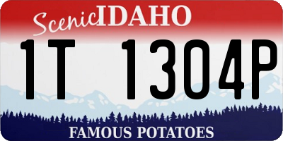 ID license plate 1T1304P