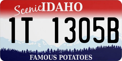ID license plate 1T1305B