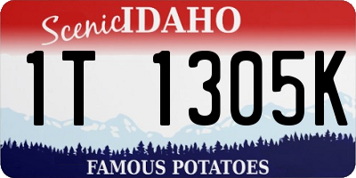 ID license plate 1T1305K