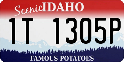 ID license plate 1T1305P