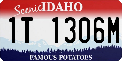 ID license plate 1T1306M