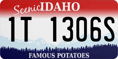 ID license plate 1T1306S