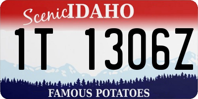 ID license plate 1T1306Z