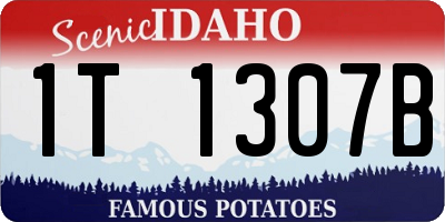ID license plate 1T1307B