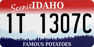 ID license plate 1T1307C