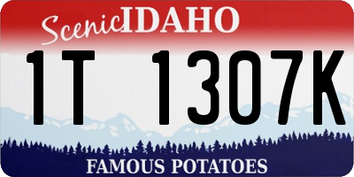 ID license plate 1T1307K