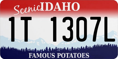 ID license plate 1T1307L
